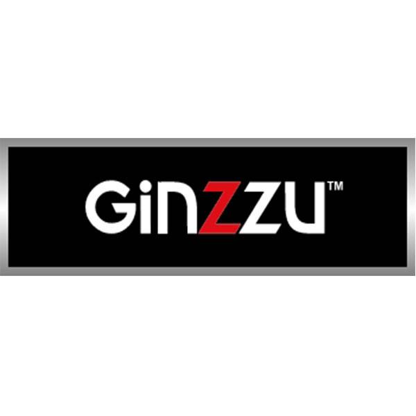 Ремонт холодильников Ginzzu