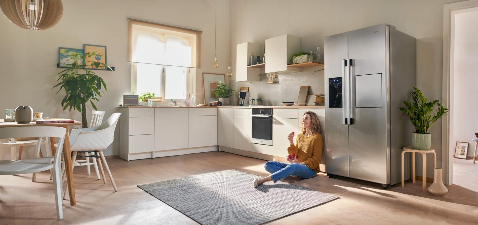 Ремонт холодильников Gorenje